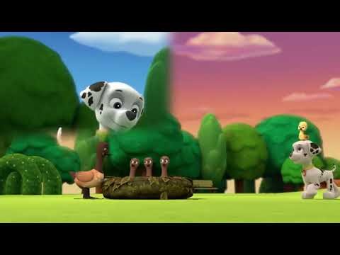 Pup, Pup, Goose-Pup, Pup and Away-clip2