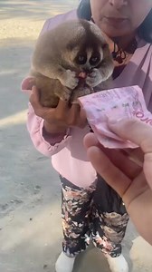 #humor #humor #humor #comedy | Grumosa