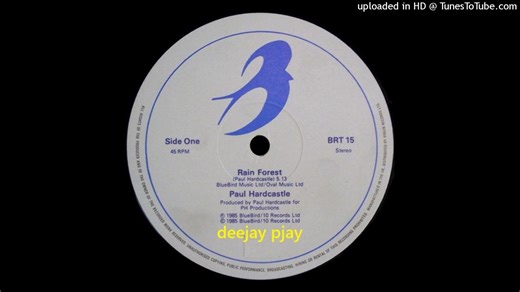 Paul Hardcastle - Rain Forest
