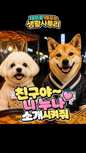 생활사투리 | 친구가 "니 누나 소개시켜줘"라고 하면?🤣 경상도 vs 전라도 #사투리 #생활사투리 #경상도 #전라도 #강아지 #웃긴영상 #경상도사투리 #전라도사투리 #Shorts
