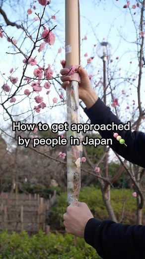 The encounter that started it all, I love spring in Japan! 🌸🍡 Yes the cherry blossoms are beautiful too, but people just seem more chill and happy during this time 👵🏻 #japan #japantravel #japantrip #mochi | Kojimochi