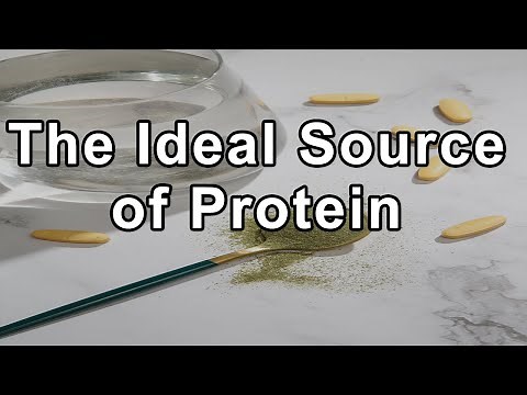 The Ideal Source of Protein - Brenda Davis, R.D.