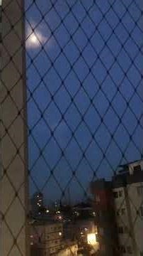 #cat #cats #cutecat #pedro #amor #likeandsubscribe #shortviral #thankyou