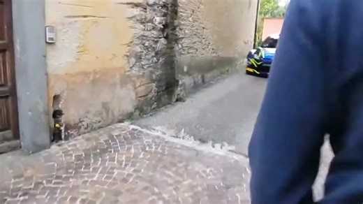 Professional Rally Drivers Showcase Extreme Skills