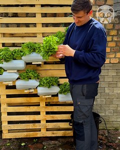 Keeping up with the latest gardening tips | Science, Tech and Universe