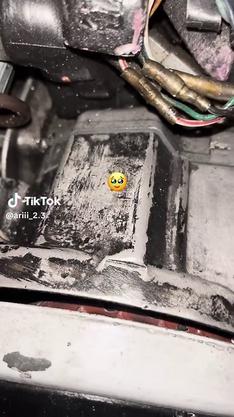 Apes”🥲#2strokelovers #fizr