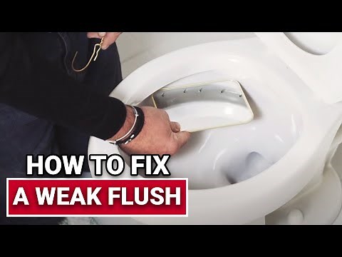 How To Fix A Weak Flush - Ace Hardware