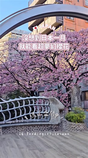 珍氏妮弗吃美食 ░台北美食░旅遊懶人包░ | 🇯🇵 現主時！超美300公尺爆炸滿開櫻花步道！東京出發只要半小時 📍熱海 糸川遊歩道 上週滑到有人分享熱海櫻花已經滿開，想說離東京不遠，週末立刻衝一波——結論：大推！ 🌸 關於熱海櫻 熱海櫻是日本最早綻放的櫻花品種，每年一月下旬就會迎來盛開期。從熱海車站步行至糸川遊步道約... | Instagram
