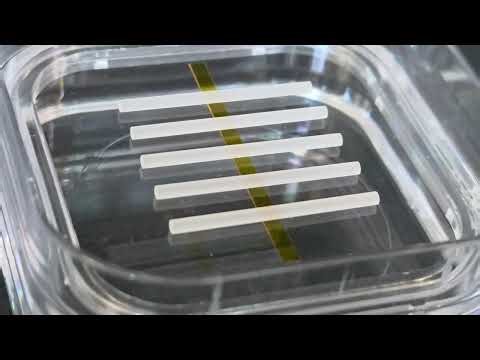 Er:Yb co-doped laser rods