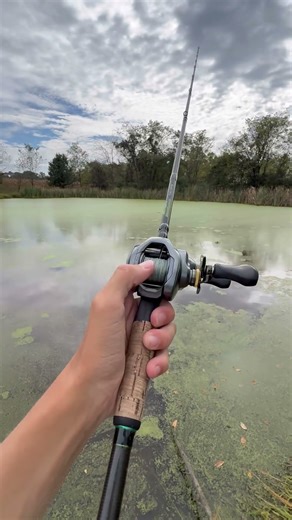 Is the Shimano Curado DC over rated?!??