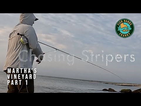 Fly Fishing for Striped Bass off Martha's Vineyard Part 1 of 2