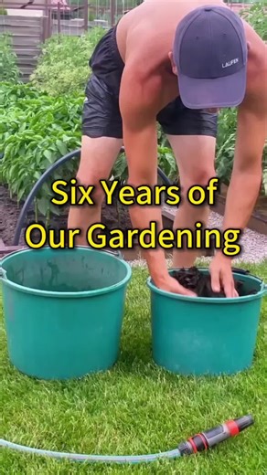 Organic Gardening Tips: Six Years of Gardening Experience