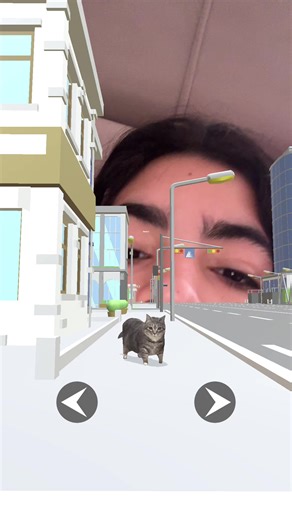 Os vídeos de Beca do Beco (@becadobecoo) com som original - Beca do Beco