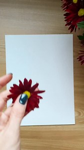 When we talk about flower hammering (hammered flower printing), we usually focus on the paper, the botanicals, and the layout… but honestly, your hammer - and how you use it - can make or break the final print. 🔨🌿 I’m currently working on a new blog post that goes deep into the hammering side of this technique: what hammer works best, how much force to use, and little patterns that help keep flowers and leaves from shifting. Because let’s be real… it often looks so easy in a quick video 😅 but