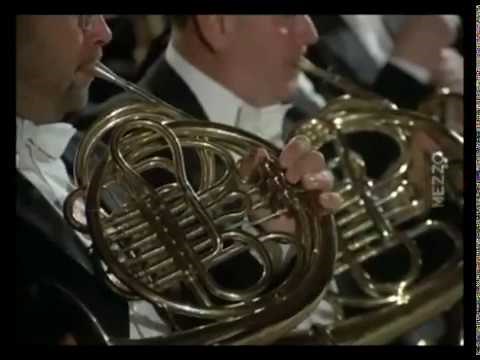 Sibelius Symphony No 2 in D Major Op 43 , Mvt 4. Bernstein Wiener Philharmoniker