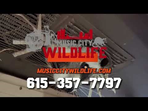 Safeguard Your Home with Music City Wildlife: Nashville's Expert Pest Control