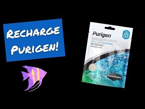 How To Recharge Seachem Purigen