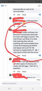 Which statement is true? Neocaridina shrimp