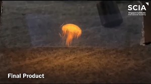 28 reactions | Grade 10 students integrated Mathematics knowledge and...