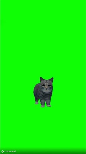 oiia cat spinning meme