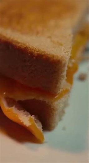 Midnight Kitchen Crisis: The Secret Raid of the Roach Commandos