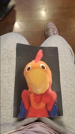 Baby Einstein Animals Around Me 2010 DVD