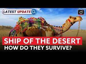 India’s Rare Double-Humped Camels | Habitat & Importance | Latest Update | Drishti IAS English
