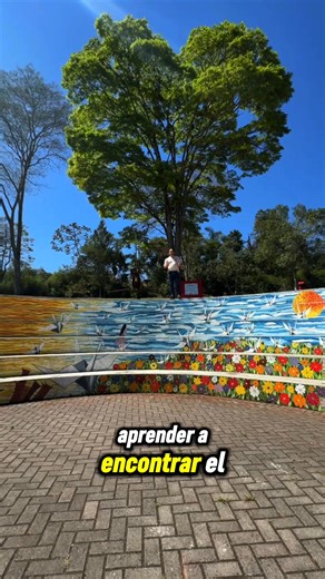 Qué es InBio? | InBio | Facebook