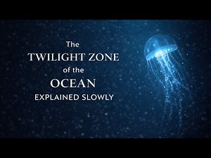 2 Hours Of The Twilight Zone of the Ocean Explained Slowly | Sleep Documentary