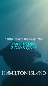 This February and March, let a little wonder restore you 🌴 Perk 1: Stay 3 nights or more at Reef View Hotel or Palm Bungalows and save 25%, or 20% at @thesundayshotel Perk 2: Enjoy a bonus $100 credit to spend across the island. Visit the link to book now: https://www.hamiltonisland.com.au/a-little-travel-tuesday-offer Offer ends 9am (AEDT) Thursday 4 December. It’s the perfect chance to escape to a world away, not far away 🌅 #hamiltonisland #whitsundays #queensland | Hamilton Island