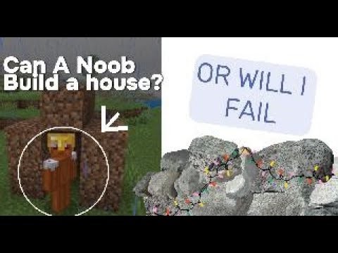 I Built A Minecraft House.