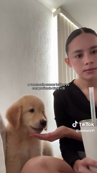 Videos de Ale Haro (@aleharo11) con “While drinking strong green tea - KCNX”