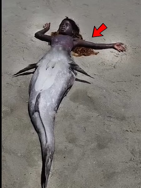 😱Is it true that Mermaids exist⁉️