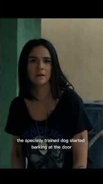 Police Discover a Shocking Hidden Stash | Movie Recap#MovieRecap#MovieExplained#FilmRecap#The RIP