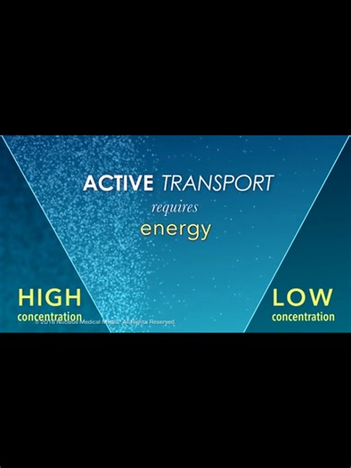 Cell Biology. Active Transport #biologywallah #biology #biologia #bio #humanity