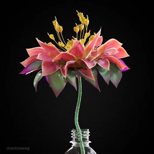 "When a flower doesn’t bloom, you fix the environment in which it grows, not the flower."—Alexander den Heijer #ThingsToNeverForget artwork by instagram.com/extraweg | The Artidote