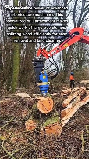 Effortless Tree Stump Removal Process