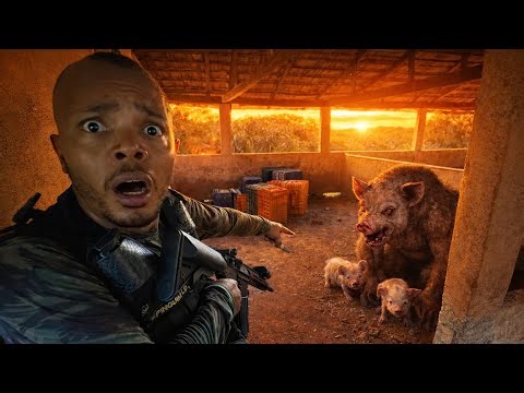 WE FOUND THE NEST OF THE PIG-HEADED CREATURE