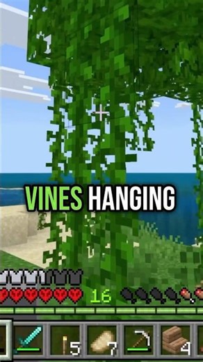 Jungle trees 🌴 English A1 Listening