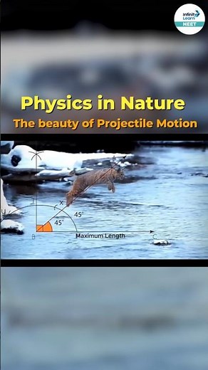 Physics in Nature: The Beauty of Projectile Motion 🌍✨ #physics #projectilemotion #shorts
