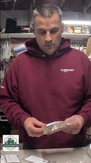Seed Scarification: Boost Germination for Tough Seeds! #shorts