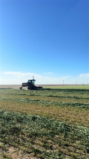 It’s been a good year! time to close out the year and start over next year! Thanks for all the support! Hoping for a better more profitable year for the next! #caseih #agco #hesston #johndeere #farmtok