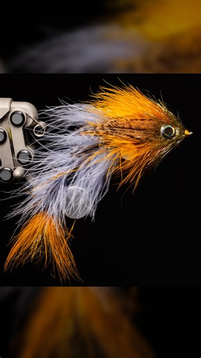 🫧 THE SWIM at the end… Fulling Mill’s new mini marabou gives this fly its ethereal movement, pairing beautifully with an articulated shank. Their flash brush adds subtle structure and radiance beneath the fibers. Whiting Farms’ Coq de Leon builds an organic, dynamic lateral line by graduating feathers from a hen cape, creating a baitfish that truly comes alive in the water. Fly: Mini Marabou Changer Tied by: Erin Hyde OG Changer Concept: Blane Chocklett @blanechocklettfishing Target species: Op