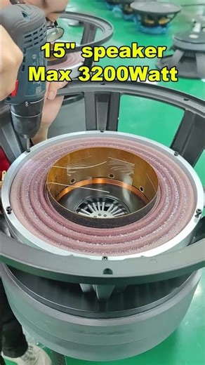 15 inch speaker