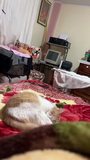 Videos de luna y camila (@lunaycamila.2) con “sonido original - DISNEY🌟”