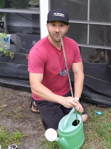 What Happens When You Grow Veggies In DOG POOP? Part 8 #herbs #garden #TheMillennialGardener #gardeningtips #plants | The Millennial Gardener