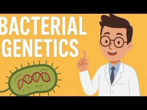 Bacterial Genetics