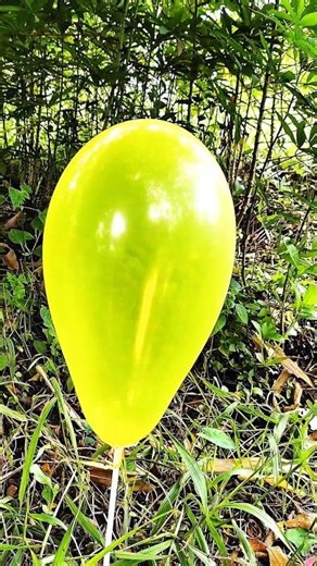 burst colorful balloons #ballondor #balloon #balloonpop #balloons #exploding #asmr