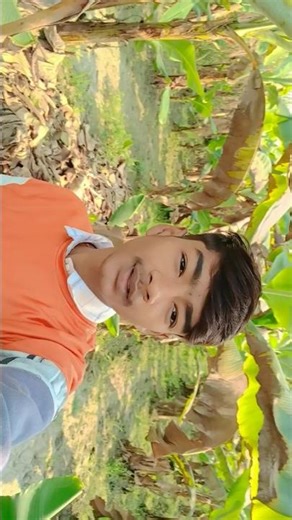 Mere yar bdl na jana musam ki tarha ❤️ #new #trending #viral #lipsing #shorts #youtubeshorts