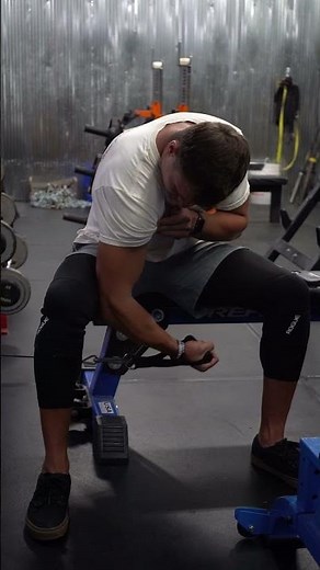 Cable Concentration Curl